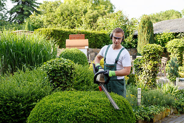 Landscape Design and Installation in Oak Lawn, IL